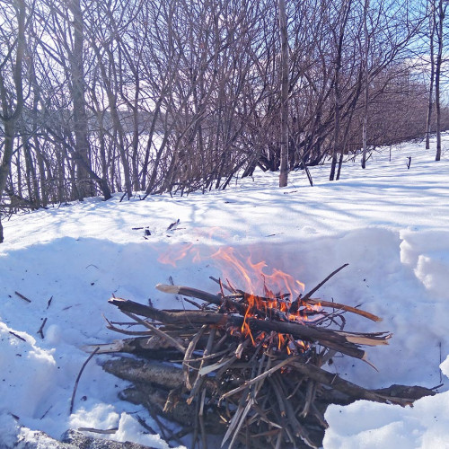 Ryb_03.03.2021-4.jpg