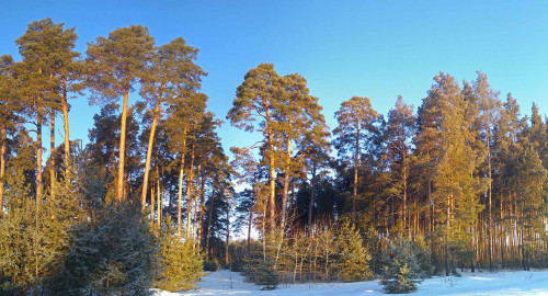 Ryb_05.03.2021-2.jpg