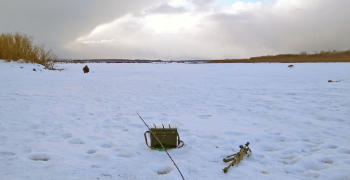 Ryb_05.03.2021-7.jpg