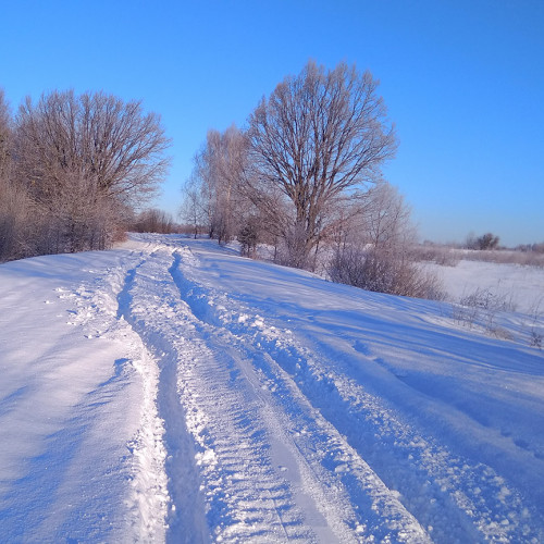 Ryb_06.03.2021-2.jpg