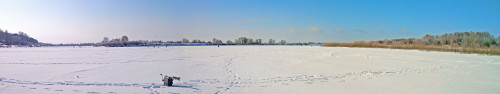 Ryb_09.03.2021-2.jpg