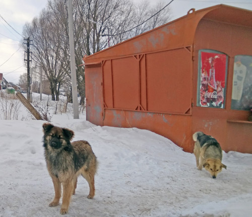 Ryb_09.03.2021-6.jpg