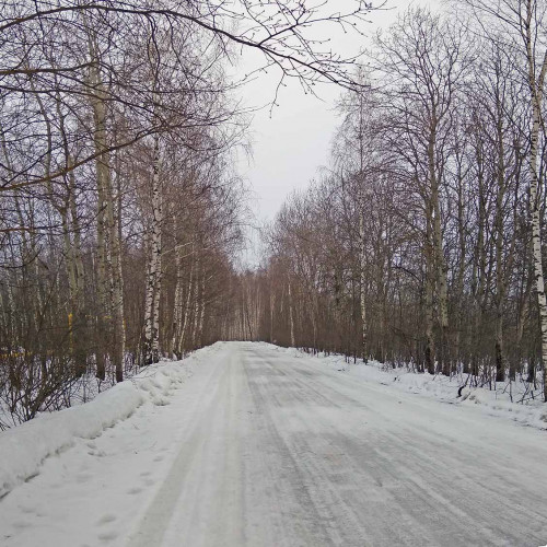 Ryb_17.03.2021-2.jpg