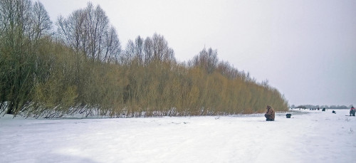 Ryb_17.03.2021-3.jpg
