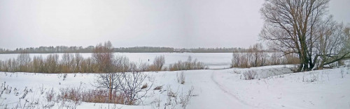Ryb_17.03.2021-5.jpg