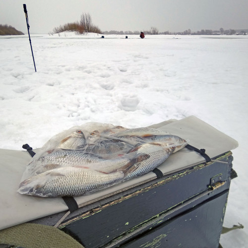 Ryb_17.03.2021-6.jpg