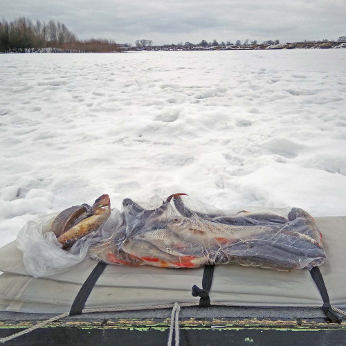 Ryb_19.03.2021-6.jpg