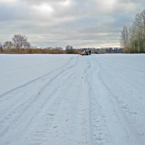 Ryb_20.03.2021-2.jpg