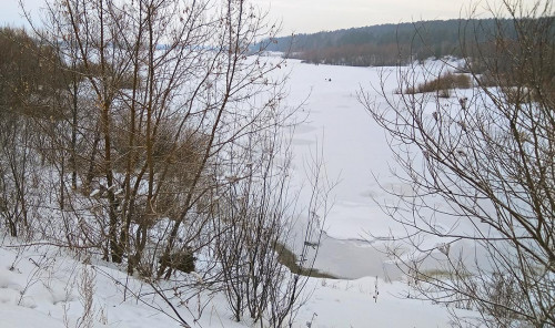 Ryb_23.03.2021-2.jpg