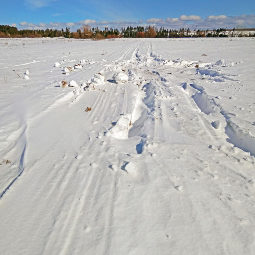 Ryb_23.03.2021-8.jpg