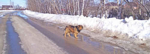 Ryb_23.03.2021-10.jpg