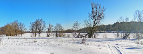 Ryb_24.03.2021-2.jpg