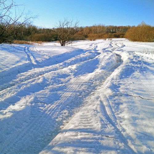 Ryb_24.03.2021-4.jpg
