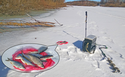 Ryb_24.03.2021-7.jpg