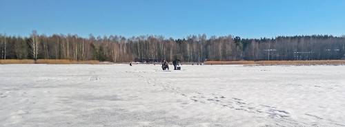 Ryb_29.03.2021-2.jpg
