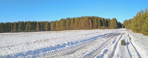 Ryb_30.03.2021-1.jpg