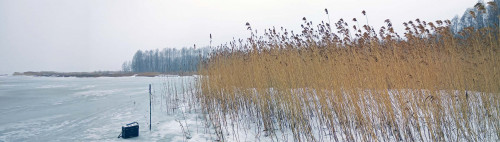 Ryb_01.04.2021-4.jpg