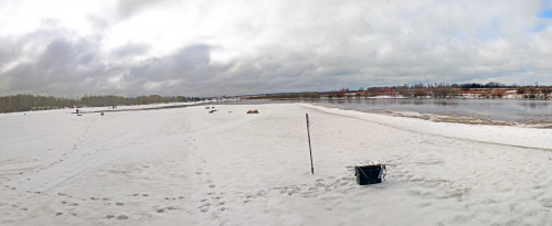Ryb_03.04.2021-2.jpg