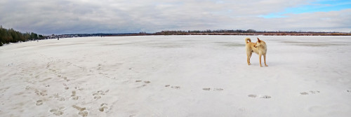 Ryb_03.04.2021-6.jpg