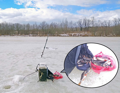 Ryb_04.04.2021-3.jpg