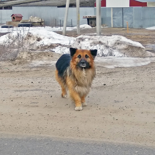 Ryb_04.04.2021-4.jpg