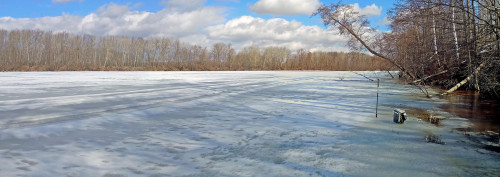 Ryb_09.04.2021-6.jpg