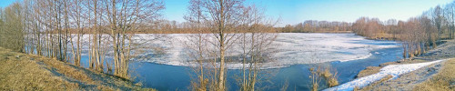 Ryb_11.04.2021-4.jpg