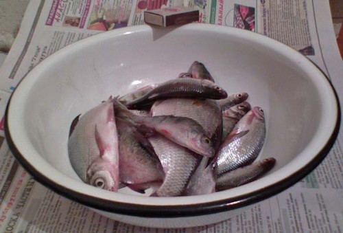 Shim_Itog_21_12_2010.jpg