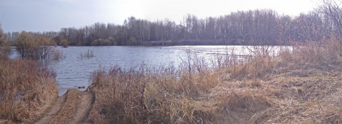 Les_16.04.2021-4.jpg