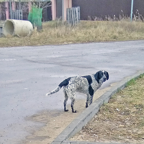 Les_18.04.2021-5.jpg