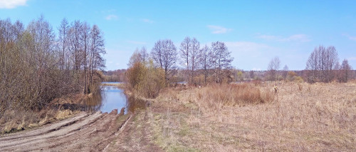 Les_23.04.2021-3.jpg