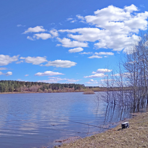 Les_26.04.2021-1.jpg