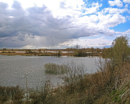 Les_28.04.2021-1.jpg