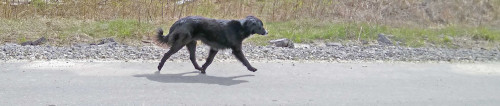 Les_02.05.2021-3.jpg