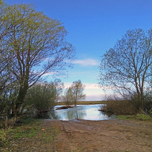 Les_04.05.2021-5.jpg