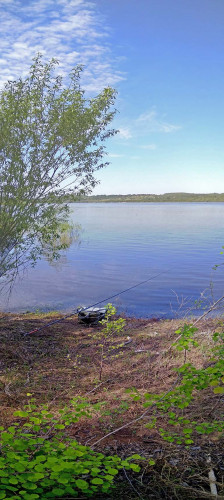 Les_19.05.2021-3.jpg