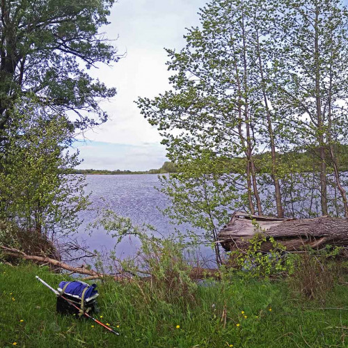 Les_21.05.2021-4.jpg