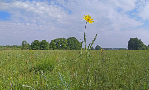 Les_29.05.2021-3.jpg