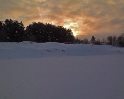 Shmrsk20.02.2011-1.jpg
