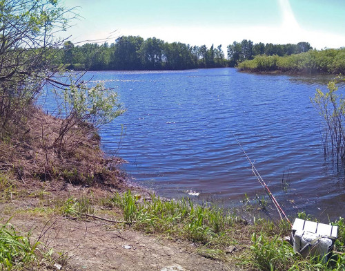 Les_04.06.2021-5.jpg