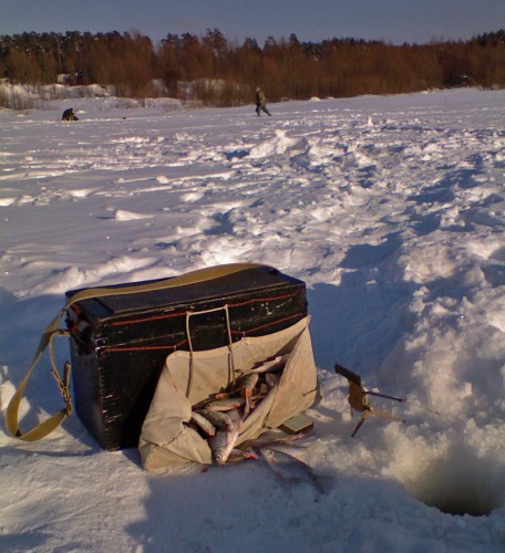 Shmrsk20.02.2011-2.jpg