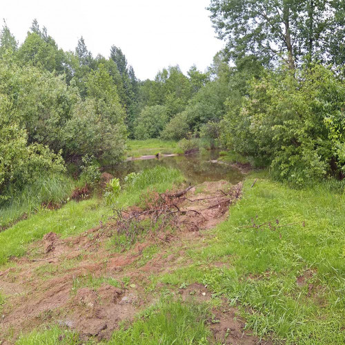 Les_06.06.2021-4.jpg