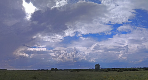 Les_08.06.2021-2.jpg