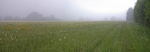 Les_14.06.2021-2.jpg