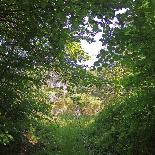 Les_18.06.2021-3.jpg