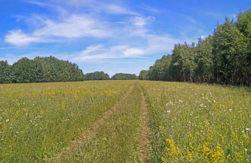 Les_21.06.2021-2.jpg