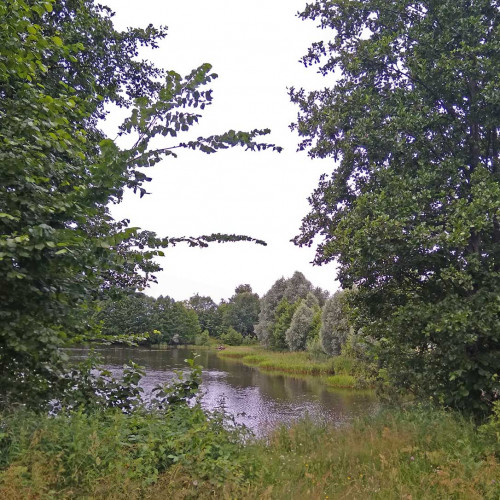 Les_04.07.2021-1.jpg