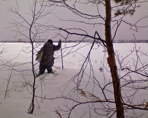 Vilja21032011-1a.jpg