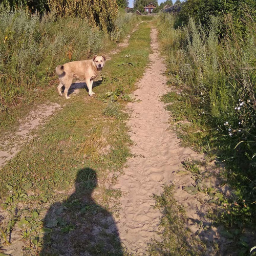 Les_08.07.2021-4.jpg