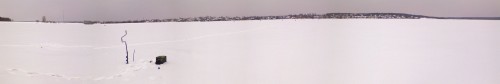 Vilja21032011-2.jpg